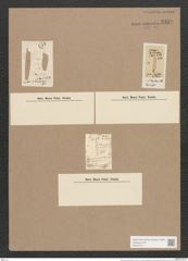 Synedra smithii O'Meara (de-Toni-Nr.: Genus 66, Species 2631) Zeichnungen Sammlung Grunow Nr. 5359 (NHMW-BOT-W0373771)